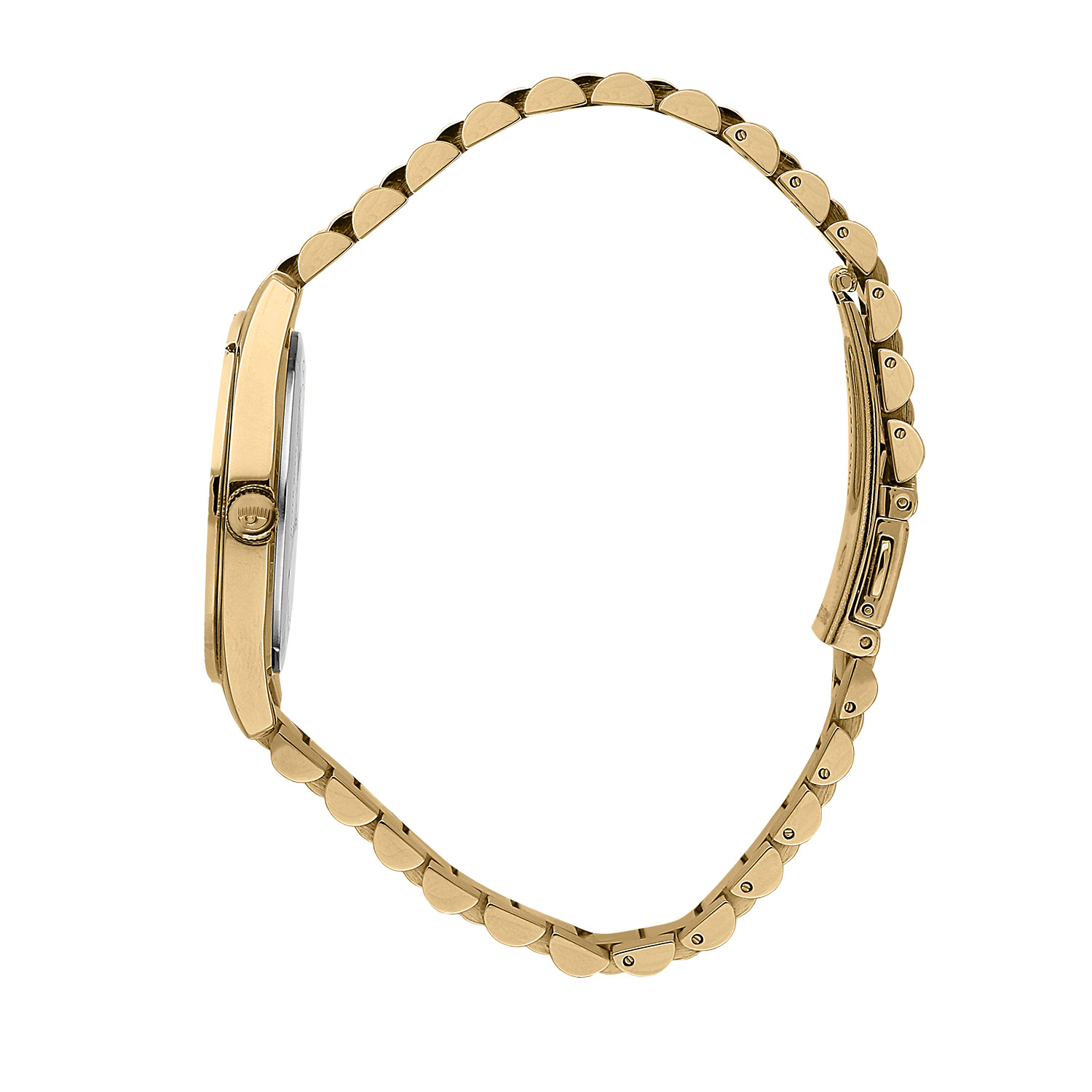 R1953100508_2.jpg